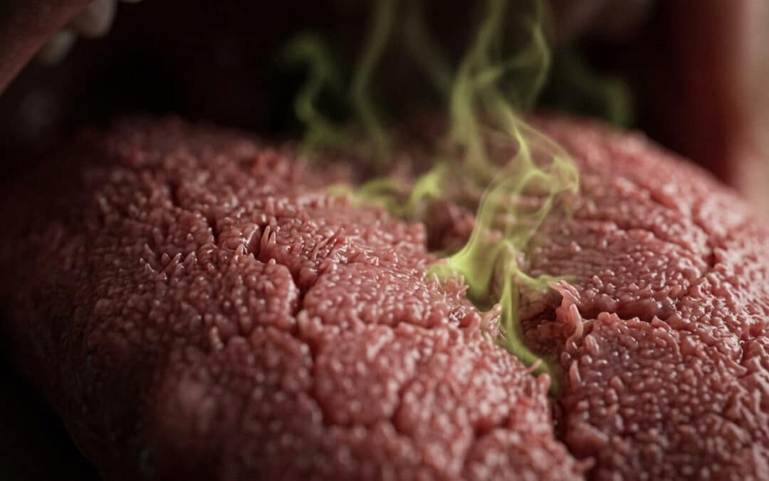 Methyl Mercaptan — What It Is and Why It Smells