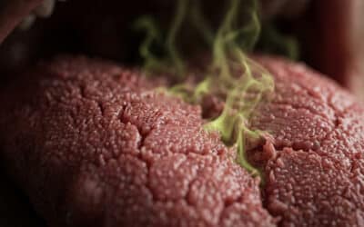 Methyl Mercaptan — What It Is and Why It Smells